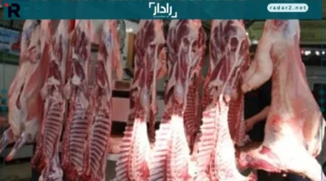 أسعار اللحوم في كفر الشيخ الجمعة 19 ديسمبر 2025